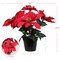 13" Red Velvet Poinsettia Bush in Black Pot with 5 Silk Flowers - Lifelike Holiday Decor for Tabletop & Mantel | Elegant Christmas Accent | Festive & Versatile Indoor Decoration - 2024 Christmas Collection, Floral Home by Artificial Flowers